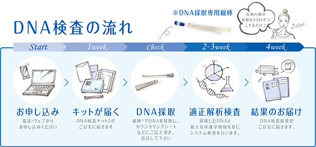 DNA検査の流れ