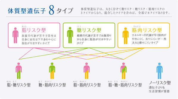 体質型遺伝子８タイプ